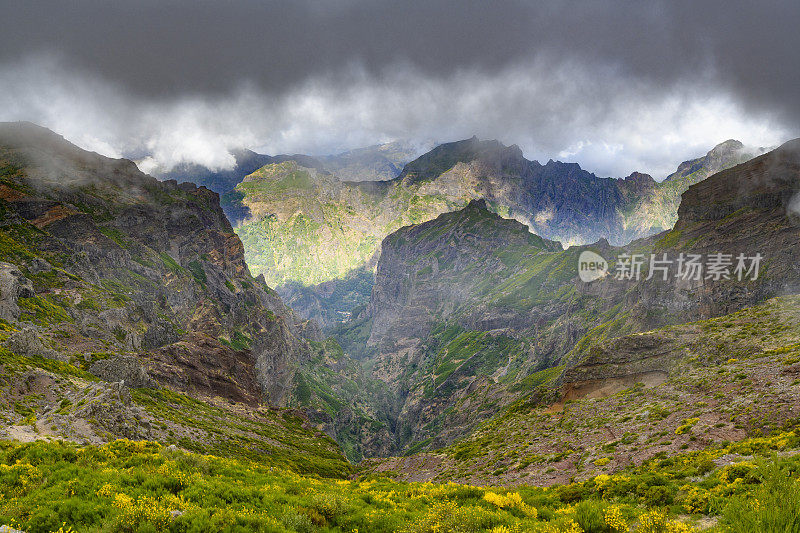 马德拉岛的山在Pico do ariiro和云彩在高山上